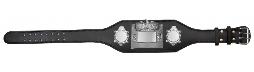 SMALL SILVER EAGLE CHAMPIONSHIP BELT - PLT299/S -4 COLOURS - BLACK, RED, BLUE, GREEN